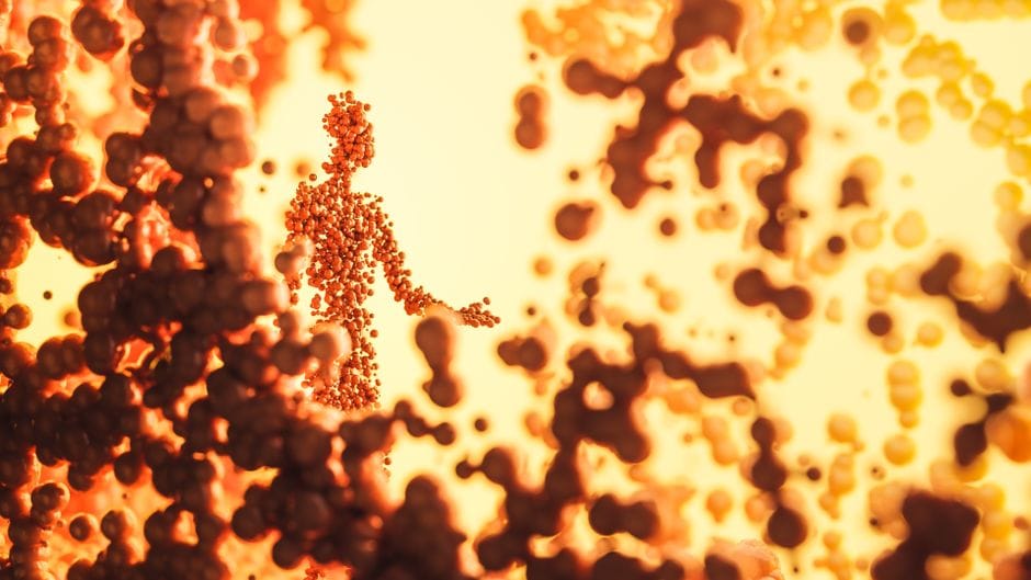 Can the Endocannabinoid System Be Measured Like Blood Sugar?