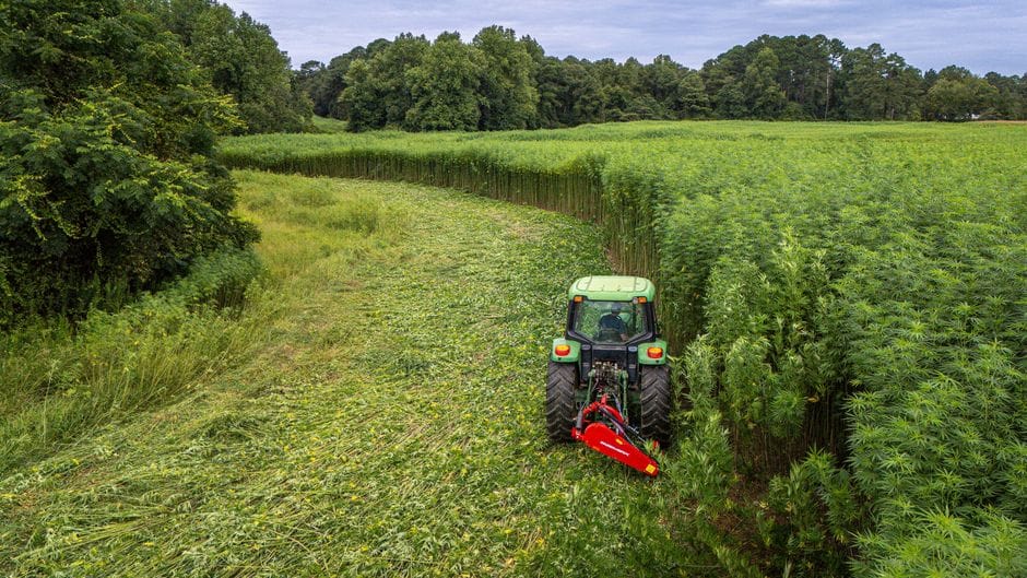 Germany's Hemp Fields Are Growing — But the Numbers Are Hard to Pin Down