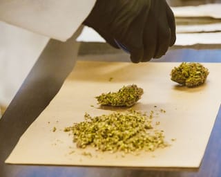 What Switzerland's Cannabis Trial Tells Us About Safer Consumption